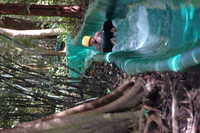  2007-12-10 15.00.01.JPG 